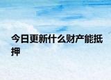 今日更新什么财产能抵押