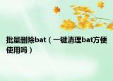 批量删除bat（一键清理bat方便使用吗）