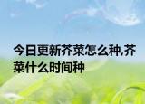 今日更新芥菜怎么种,芥菜什么时间种