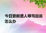 今日更新遭人辱骂应该怎么办