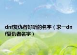 dnf复仇者好听的名字（求一dnf复仇者名字）