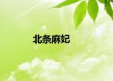 北条麻妃