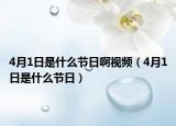 4月1日是什么节日啊视频（4月1日是什么节日）