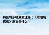 咸阳城东楼原文注释（《咸阳城东楼》原文是什么）