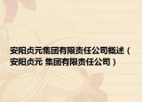 安阳贞元集团有限责任公司概述（安阳贞元 集团有限责任公司）