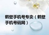 鹤壁手机号专卖（鹤壁手机号码网）