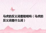 马虎的反义词是聪明吗（马虎的反义词是什么词）