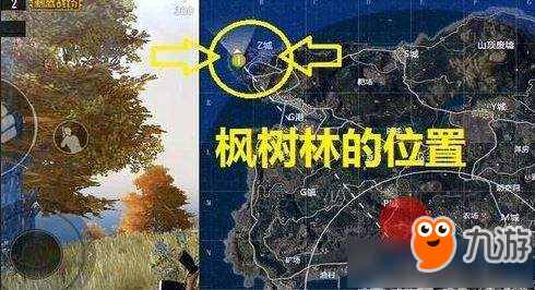 《绝地求生刺激战场》寻找绝地海岛地图中的野餐聚点任务攻略