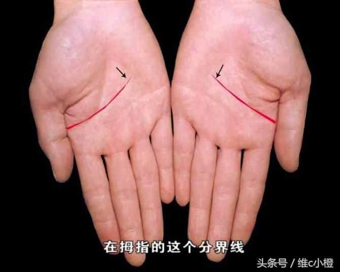 看手相不求人，解析手相秘诀看了你也能掌握身体事业命运和爱情
