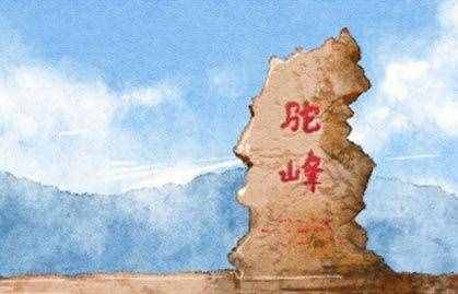 石头5