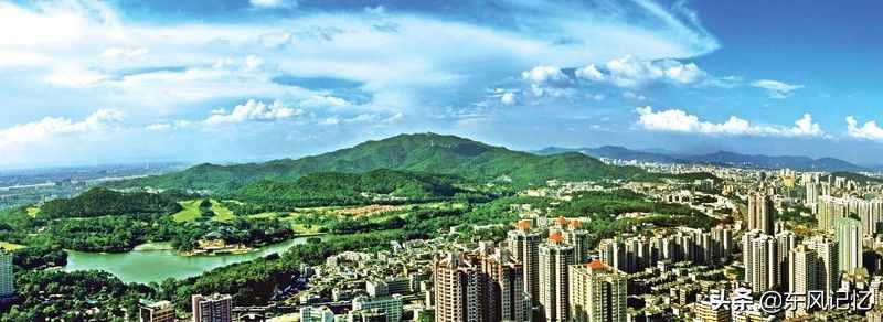 广州市情概况
