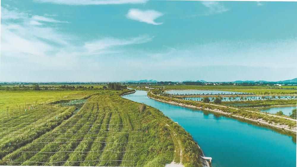 合肥修复环巢湖十大湿地：为了涓涓清水入巢湖