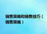 销售策略和销售技巧（销售策略）