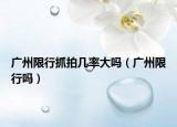 广州限行抓拍几率大吗（广州限行吗）