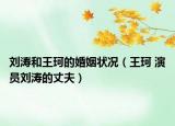 刘涛和王珂的婚姻状况（王珂 演员刘涛的丈夫）