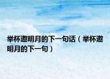 举杯邀明月的下一句话（举杯邀明月的下一句）