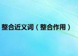 整合近义词（整合作用）