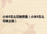 小米9怎么切换界面（小米9怎么切换主题）