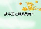 战斗王之飓风战魂3