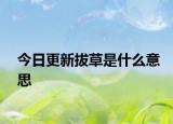 今日更新拔草是什么意思