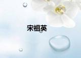 宋祖英