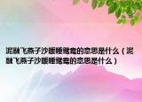 泥融飞燕子沙暖睡鸳鸯的意思是什么（泥融飞燕子沙暖睡鸳鸯的意思是什么）