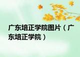 广东培正学院图片（广东培正学院）