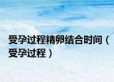 受孕过程精卵结合时间（受孕过程）