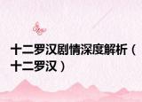十二罗汉剧情深度解析（十二罗汉）