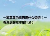 一筹莫展的意思是什么词语（一筹莫展的意思是什么）