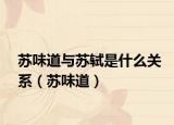 苏味道与苏轼是什么关系（苏味道）