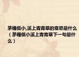 茅檐低小,溪上青青草的意思是什么（茅檐低小溪上青青草下一句是什么）
