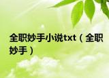 全职妙手小说txt（全职妙手）