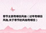 春节主要有哪些风俗（过年有哪些风俗,关于春节的风俗有哪些）
