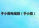 于小磊电视剧（于小磊）