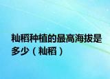 籼稻种植的最高海拔是多少（籼稻）