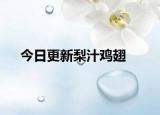 今日更新梨汁鸡翅