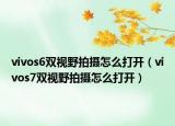 vivos6双视野拍摄怎么打开（vivos7双视野拍摄怎么打开）