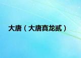大唐（大唐真龙贰）