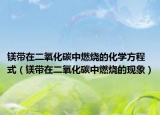 镁带在二氧化碳中燃烧的化学方程式（镁带在二氧化碳中燃烧的现象）