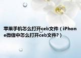 苹果手机怎么打开ceb文件（iPhone微信中怎么打开ceb文件?）