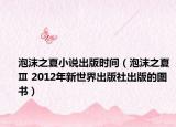 泡沫之夏小说出版时间（泡沫之夏Ⅲ 2012年新世界出版社出版的图书）
