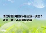 清洁冰箱妙招在冰箱里放一块这个让你一辈子不用清理冰箱