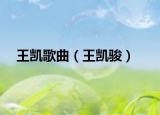 王凯歌曲（王凯骏）