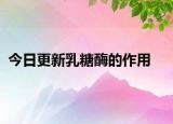 今日更新乳糖酶的作用