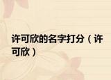 许可欣的名字打分（许可欣）