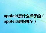 appleid是什么样子的（appleid是指哪个）