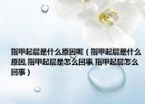 指甲起层是什么原因呢（指甲起层是什么原因,指甲起层是怎么回事,指甲起层怎么回事）
