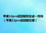 苹果12pro返回键和安卓一样吗（苹果12pro返回键在哪）