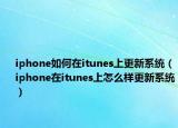 iphone如何在itunes上更新系统（iphone在itunes上怎么样更新系统）